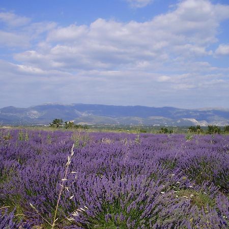 Hotel Du Moulin Allemagne-en-Provence Buitenkant foto