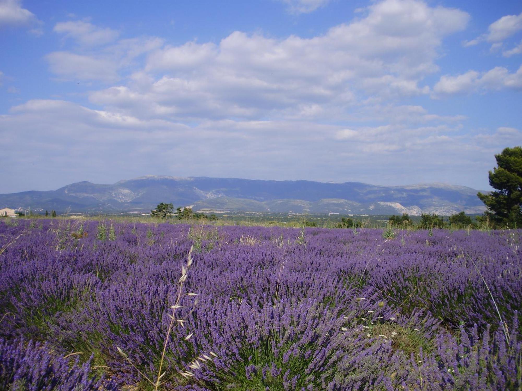 Hotel Du Moulin Allemagne-en-Provence Buitenkant foto